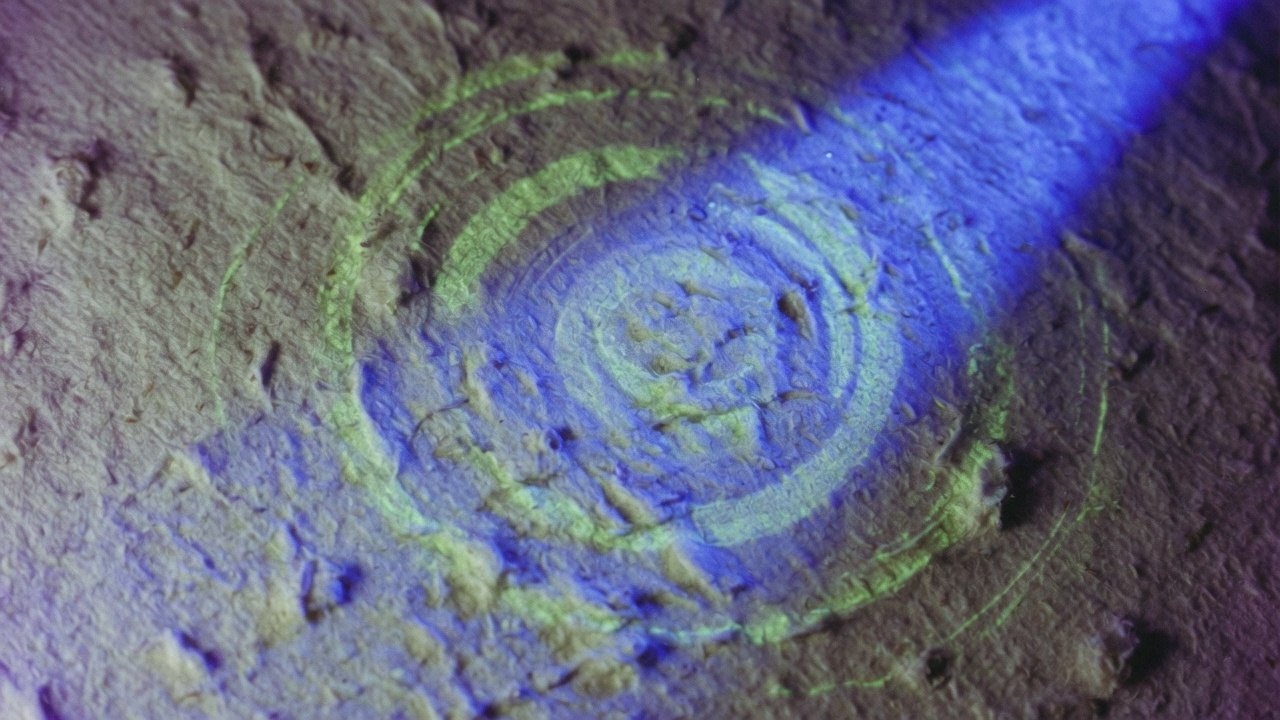Macro paper fibers under a UV beam, phosphor rings in the grain.